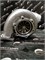 Турбина новая KTR110 KOMATSU HM400-3M0 SAA6D140E-5F Новая 00000001743