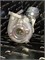 Турбина новая GTA20 NISSAN NAVARA YD25DDTi Новая 00000001829 - фото 14979 Турбина новая GTA20 NISSAN NAVARA YD25DDTi Новая 00000001829 - фото 14979