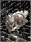 Турбина новая GT17 HYUNDAI H1 D4BH Новая 00000001963 - фото 15075 Турбина новая GT17 HYUNDAI H1 D4BH Новая 00000001963 - фото 15075